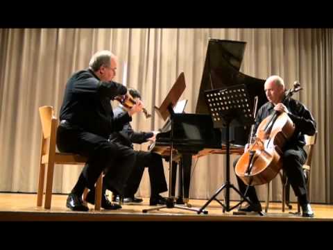 Mendelssohn Trio in D minor, 4th Movement