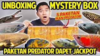UNBOXING MYSTERY BOX 5 PAKETAN IKAN PREDATOR SEKALIGUS! DAPET JACKPOT BERUNTUNG BANGET! IKAN IMPIAN?