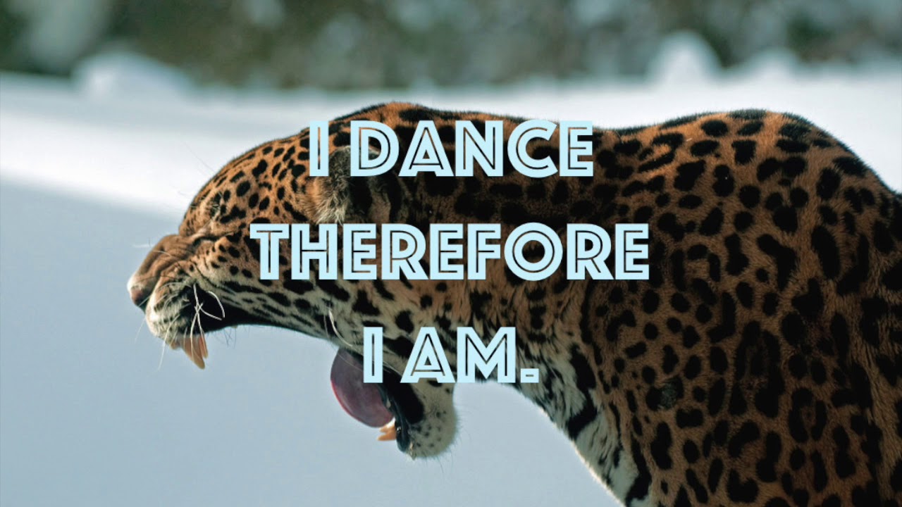 Watch Meg & Hrag Mikkel - Hearthstone on YouTube Watch Meg & Hrag Mikkel - Hearthstone on YouTube