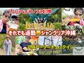 【ジャングリア沖縄】絶対失敗したくない!50代夫婦の攻略は!?アプリフリーズで焦った😱オープン当日来場/翌々日再び来場