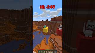 -7651231 Iq Minecraft #Shorts