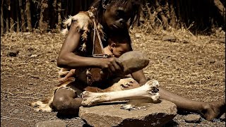 3.2 Million Years Ago: When Humanity First Struck Stone Against Bone