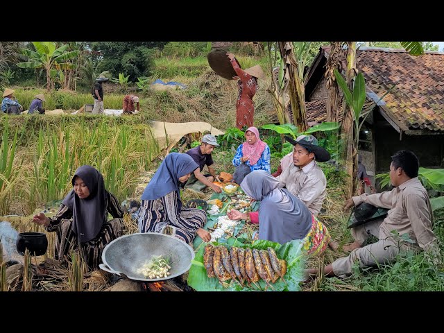 Nikmatnya Hidup di Desa, Masak Nikmat di Tengah Sawah, Botram Dadakan Masakan Kampung class=