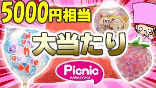 スクイーズ ぷく Big Win] Unboxing the Squeeze Lucky Bag! The Harajuku Picnic