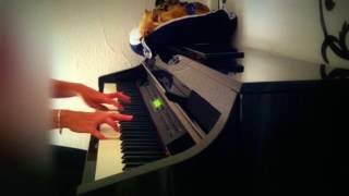 Video thumbnail of "Plaisir D'Amour - Piano Solo"