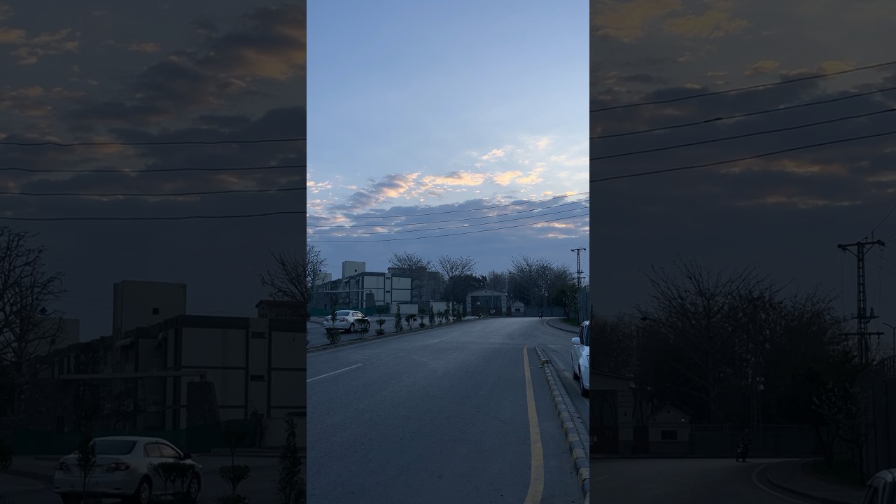 A journey through tree-lined highways