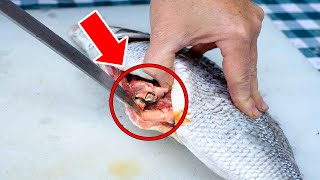 What Is That?! Woman Gets the Surprise of Her Life While Cleaning a Fish by Wonderbot Animals 322,401 views 1 month ago 9 minutes, 28 seconds