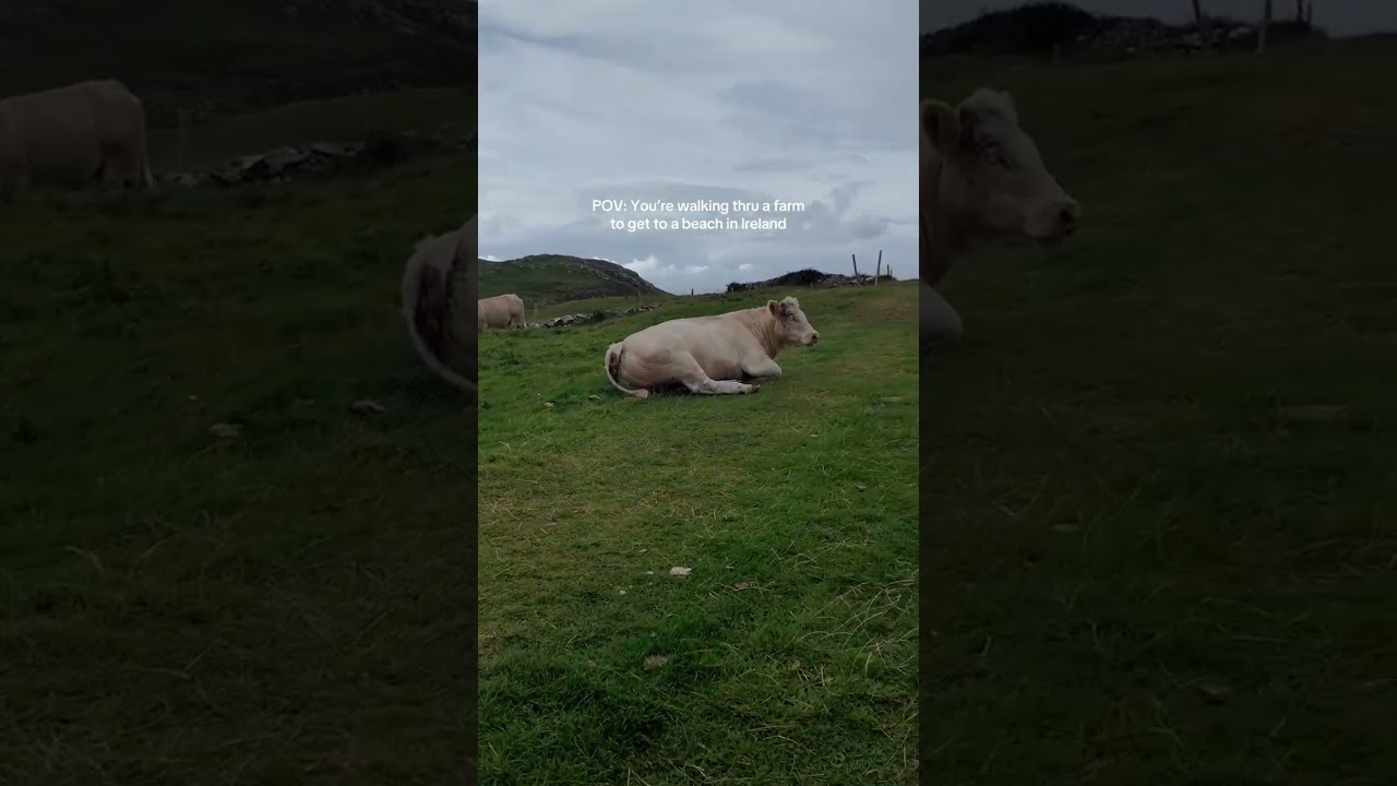 Donegal, Ireland Bucket List: Murder Hole Beach 
