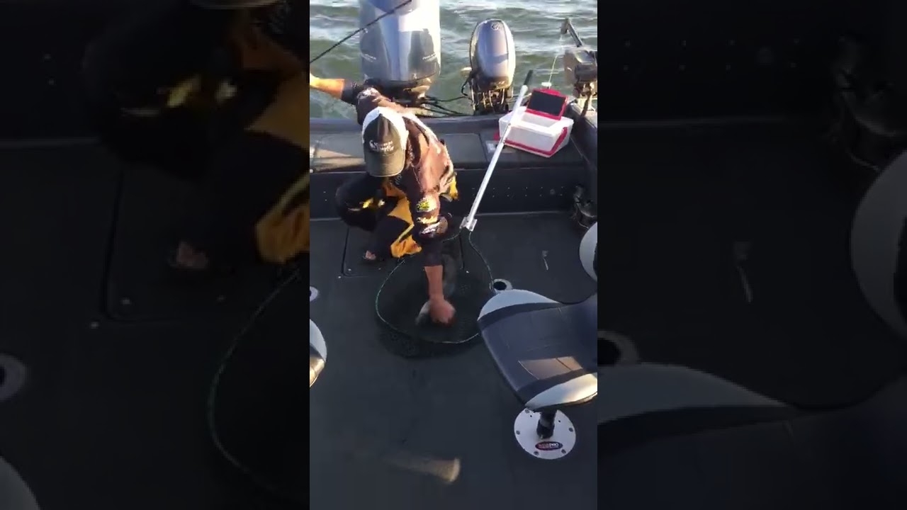 Walleye Lake Francis Case