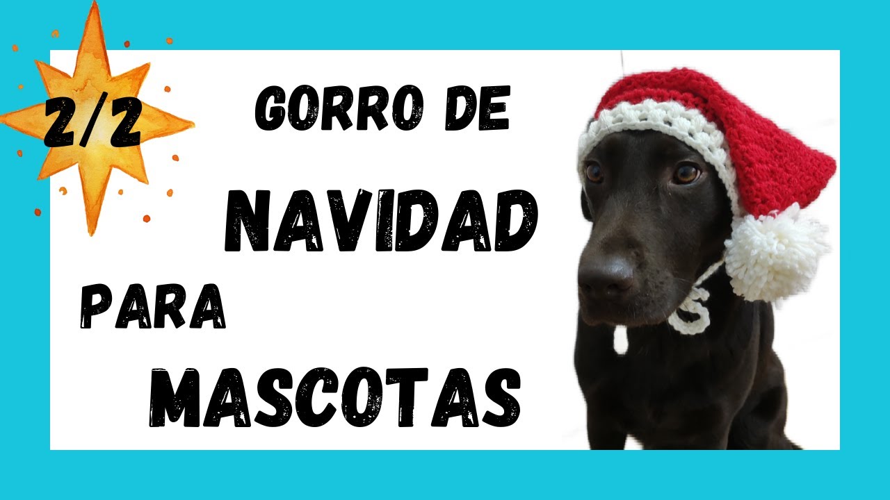 🎅🎅🎅 Gorro de Navidad para PERRO a crochet. Paso a Paso con MEDIDAS para las mascotas -