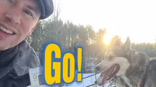 Racing Siberian Huskies in central Finland - The Lake Lands of Finland - Travel Guide screenshot 1