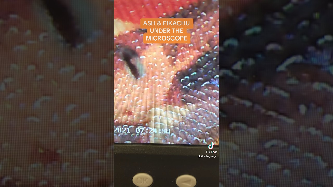 ASH & PIKACHU MICROSCOPE CLOSE UP!! #pokemon #pokémon #pokemoncards ...