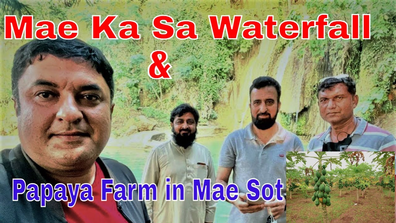A Day At Mae Ka Sa Waterfall And Papaya Farm In Mae Sot  | Thailand Trip