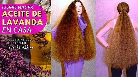 ¿Ayuda la lavanda al crecimiento del cabello?