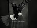 "Just like a bird trusts its wings"| Must Watch Motivational Message