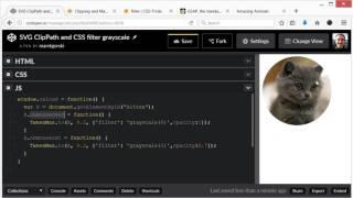 Website Diary 26 - Svg Clippath And Css Filter Grayscale