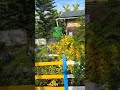 AAM–HWC Momong | Health & Wellness Centre #shorts #ytshorts #viral #trending #explore #fyp