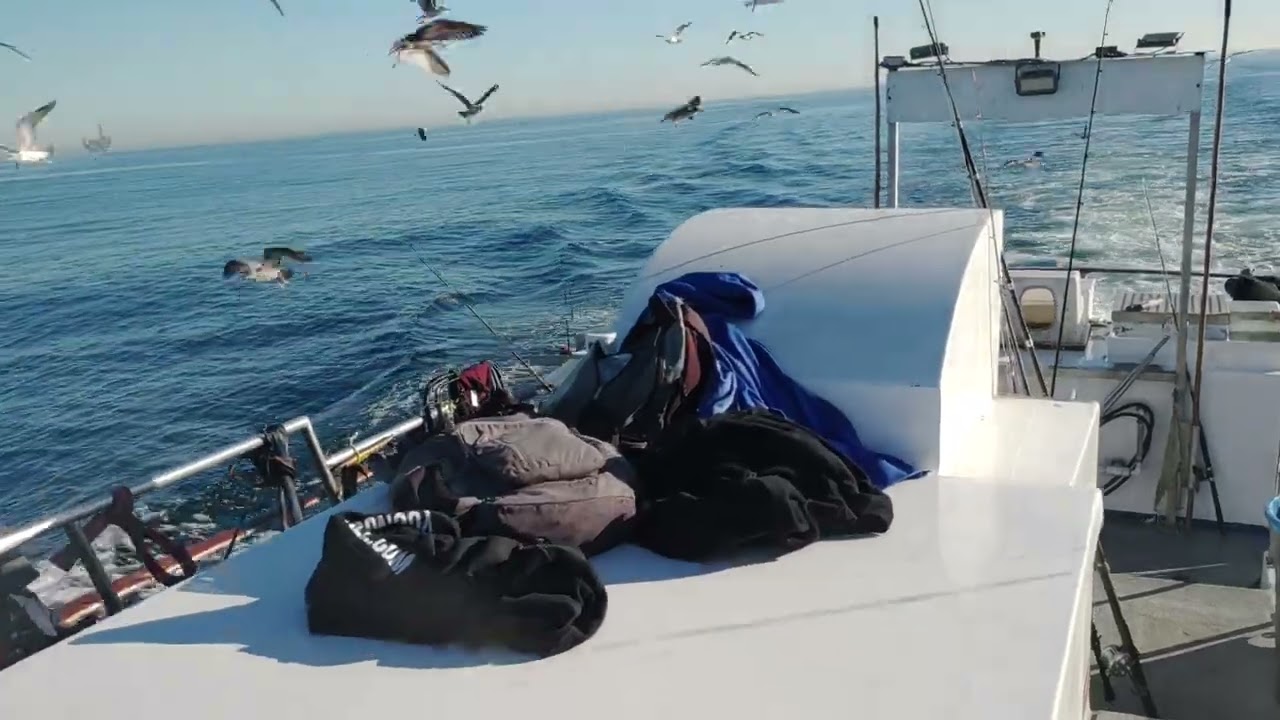 3/4 day on VICTORY. LONG BEACH SPORT FISHING