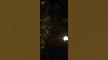 القران الكريم بصوت جميل جدا تقشعر منه الأبدان 😴 #تلاوة_هادئة /القارئ أنوار ابوالفضل