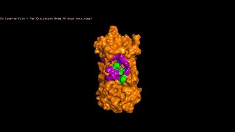 PyMOL tutorial || How to visualize protein-ligand interactions by PyMOL || Protein Surface creation