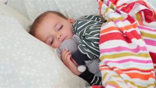 Lawton Public Schools: Flu Season Tips