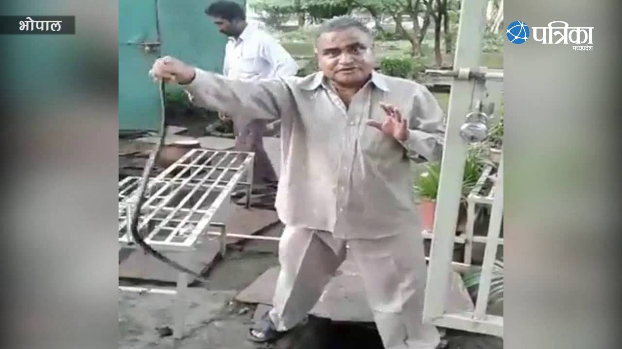 Snake Catcher Salim catching snake in Park Snake catching technique Bhopal YouTube