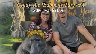 Goodbye Cindy, the Baboon's Farewell & Tribute.