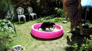 kellypool20100710 006.AVI