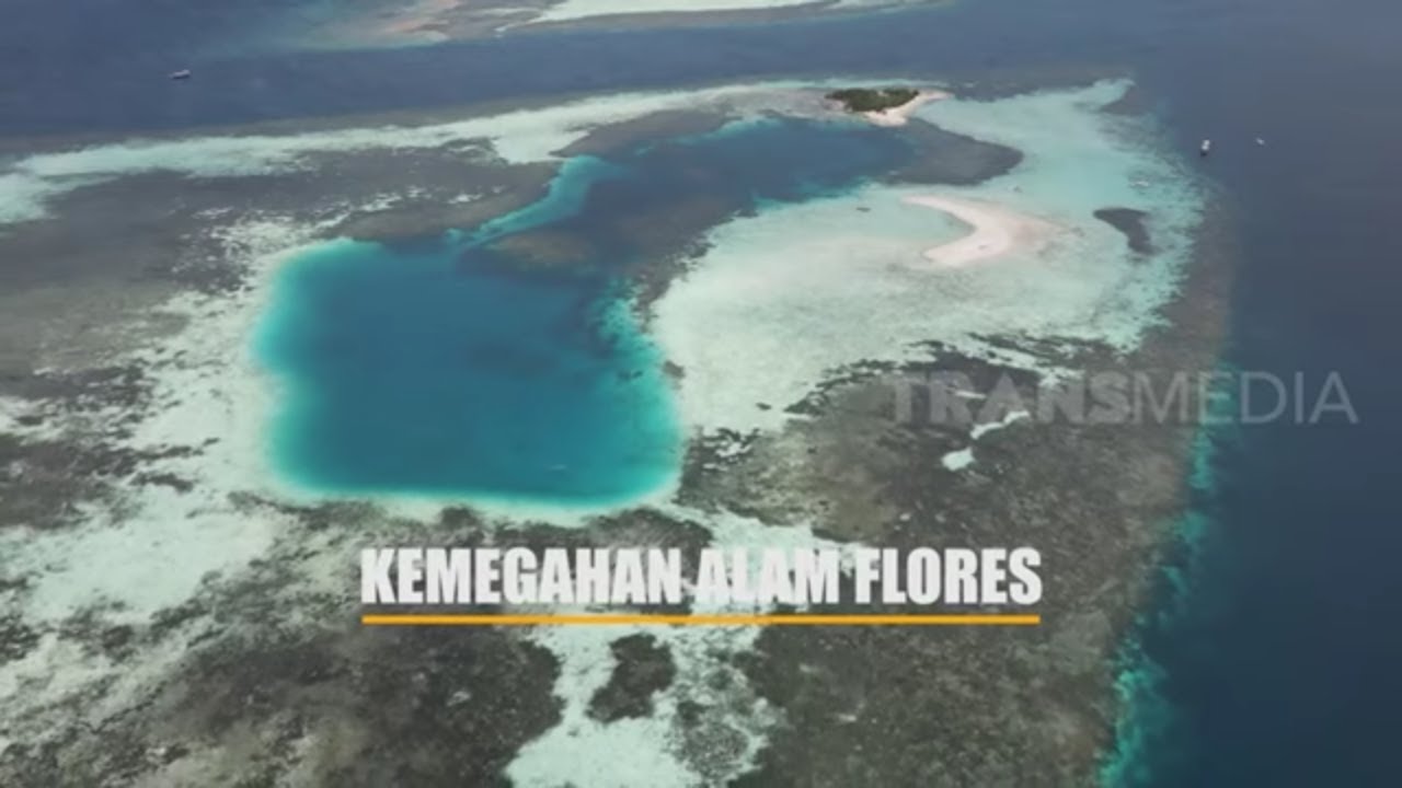 [FULL] KEMEGAHAN ALAM FLORES | JEJAK PETUALANG (02/08/22)