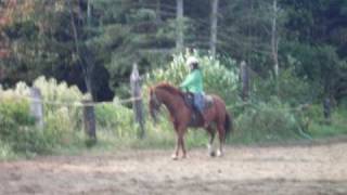 SDC11624.AVI