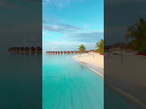 Sun Siyam Vilu Reef — film poster