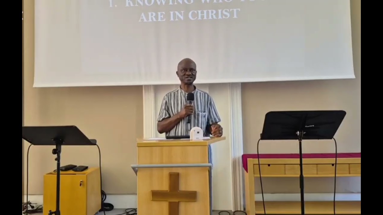 Soaring Above Limitations - P. Stephen Francis 