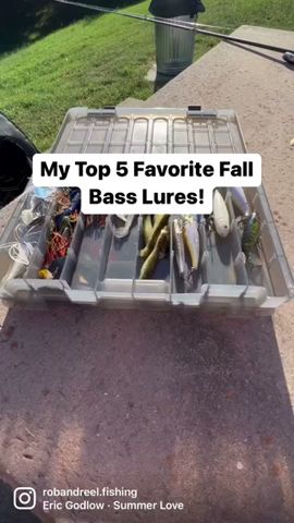 TOP 5 Lures For FALL Bass Fishing! 🍁