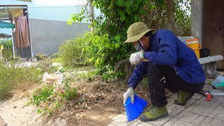 Inspiring Neighborhood Cleaning of Sidewalks Using Rudimentary Tools