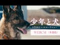 映画『少年と犬』WEBCM 多聞篇【3月20日(木・祝)公開】