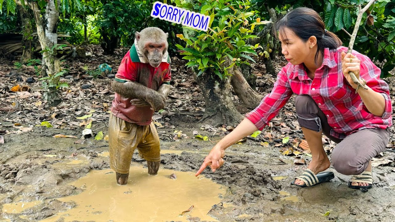 Abu sorry when Mom scolded for playing with dirty water