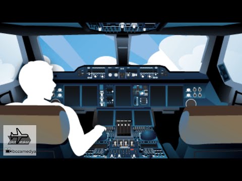 Video: Delta hala uçuş görevlisi alıyor mu?