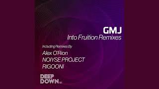 DD011 Into Fruition (NOIYSE Project remix) - GMJ