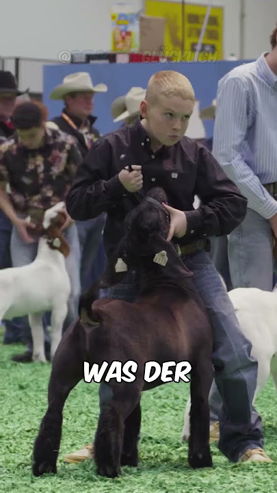 Der Junge war voller Wut bis..🤯