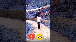 Mohbbat Ke Bari Kharab Hola Rogwased status