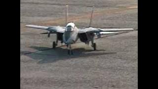 RC F-14 TomCat Turbine Jet