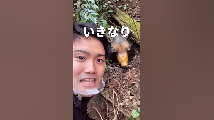 【検証】突然クマに遭遇した時の相方の逃げ方がスゴイww#shorts