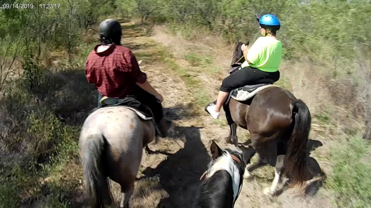 LHI Trail Ride 91419 Horseback riding in San Antonio Texas YouTube