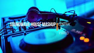 Sean Paul J. Balvin - Contra La Pared (Soundwave House Mashup Mix)