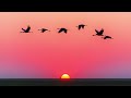 Middle of video