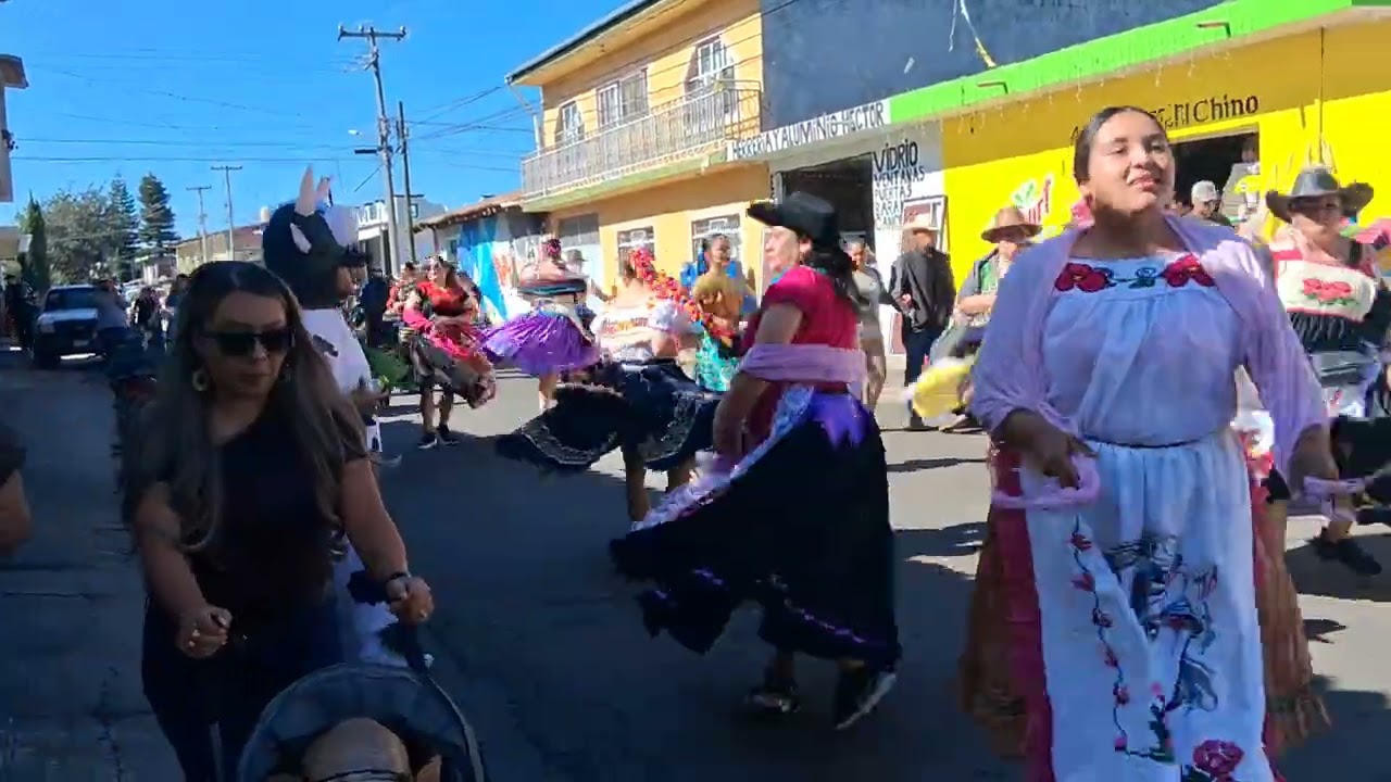GURESITAS BELLAS FUENTES  JARIPEOS 