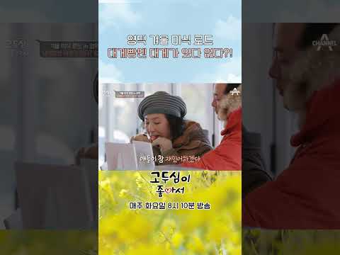 바다 <strong>사자가</strong> 된(?) 고두심과 김창옥 #shorts #고두심이좋아서 #영덕