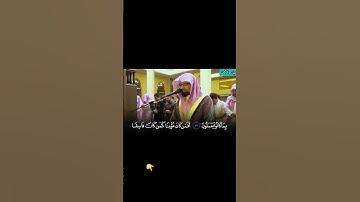 أفمن كان مؤمنا كمن كان فاسقا | فجرية هادئة ناصر القطامي سورة السجدة