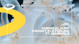 Chemical Surf Caught In A Feeling (Feat. Mammals)