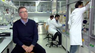 DGPM 1090 LA SINGULARIDAD DEL CIQUS